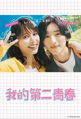 相城网站优化多少钱